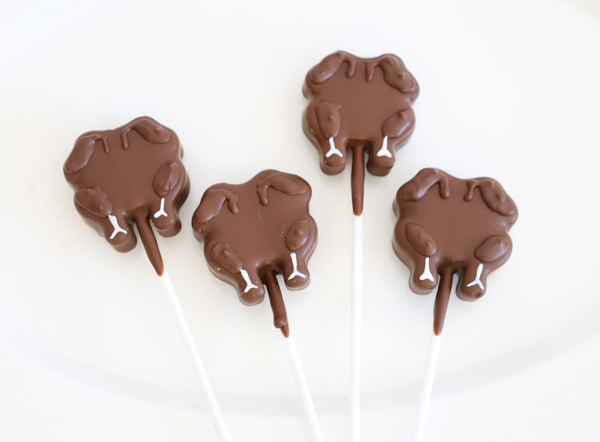 Turkey-shaped chocolate cake pops decorated with feather details